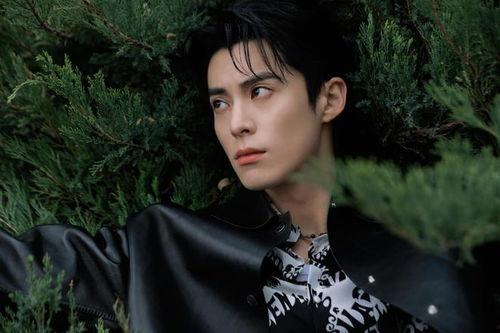 娱乐大爆料王鹤棣团队,娱乐大爆料背后的故事